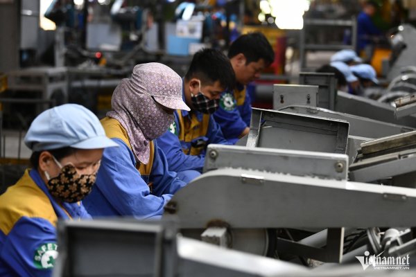 Các nhà kinh tế kêu gọi phá vỡ